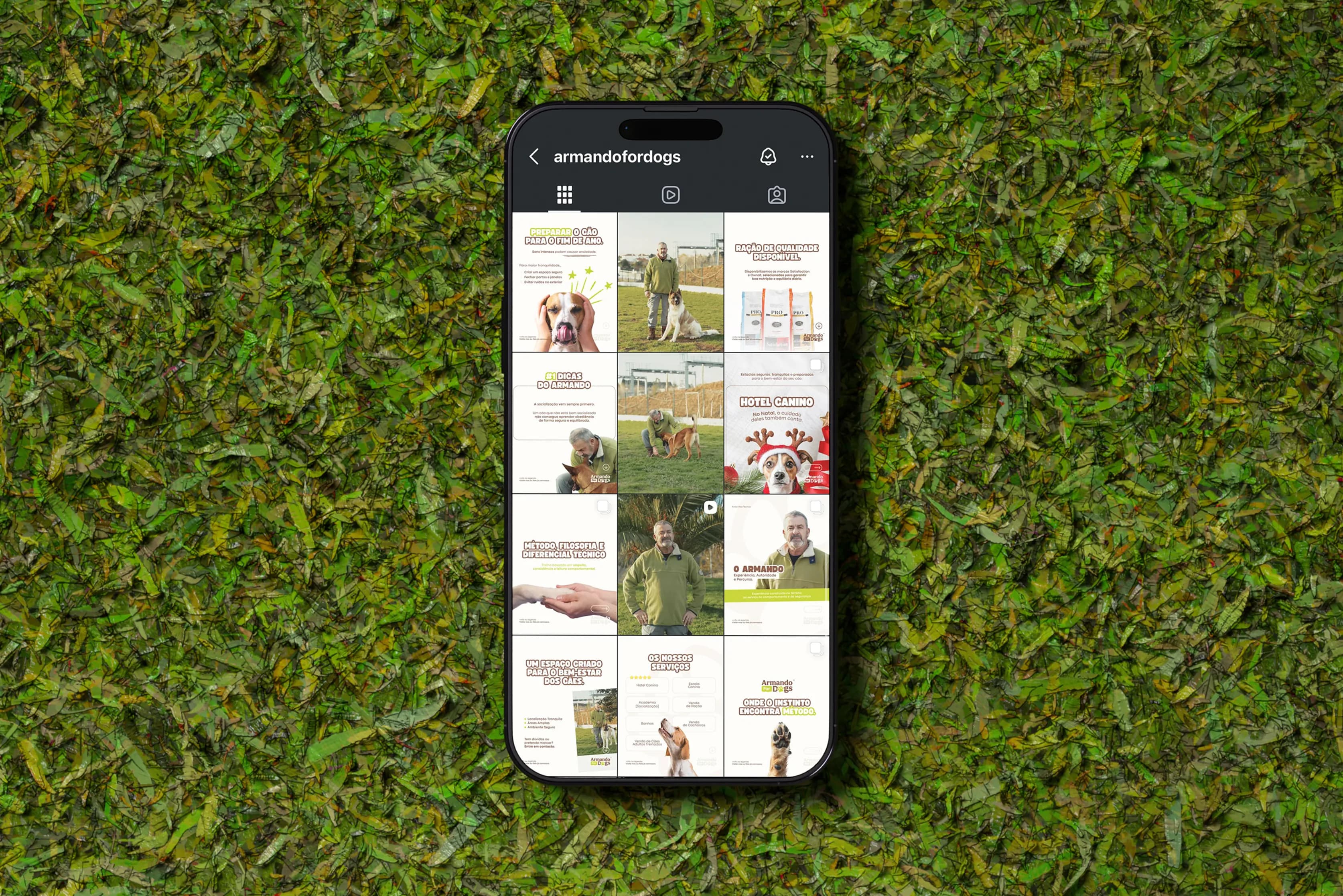 manystudio | Porto | Lousada