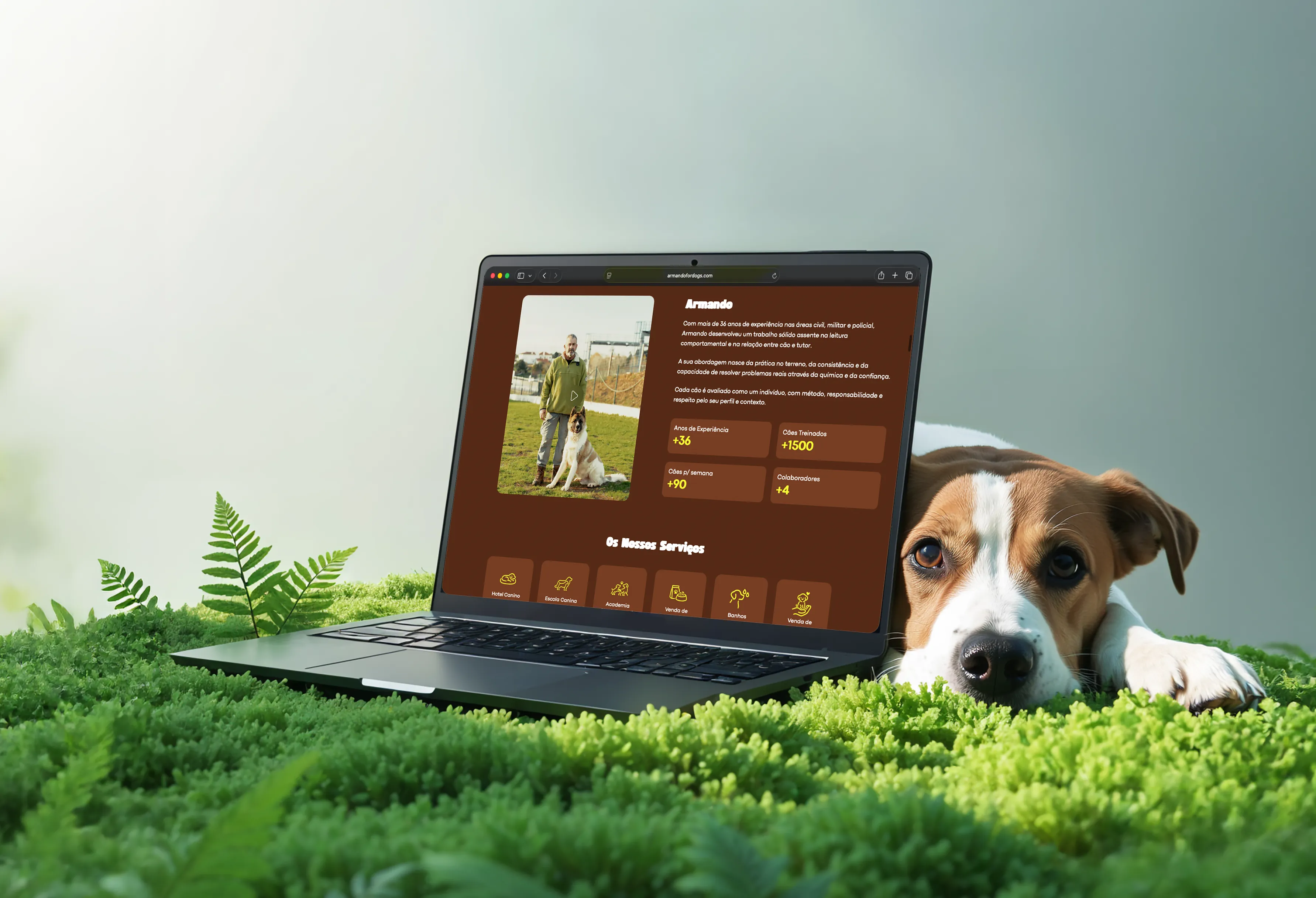 manystudio | Porto | Lousada